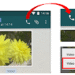 व्हॉटसअॅपवर व्हिडिओ कॉलिंग सर्वांसाठी उपलब्ध !