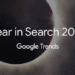 गूगल इयर इन सर्च : २०१७ मध्ये भारतीयांनी ‘हे’ केलं सर्च!