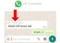 दुसर्‍यांचे फॉरवर्ड केलेले संदेश समजणार! : व्हॉट्सअॅपची नवी सोय