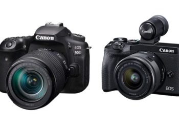 Canon 90D and EOS M6 II