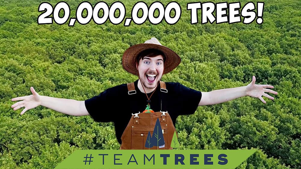 TeamTrees MrBeast