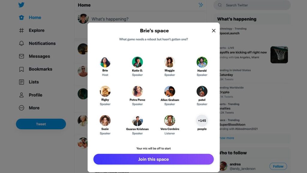 Twitter Spaces