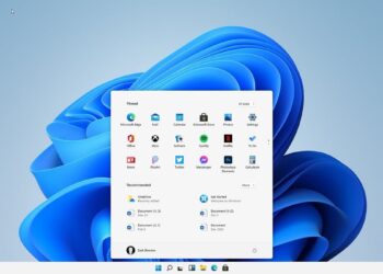 Windows 11