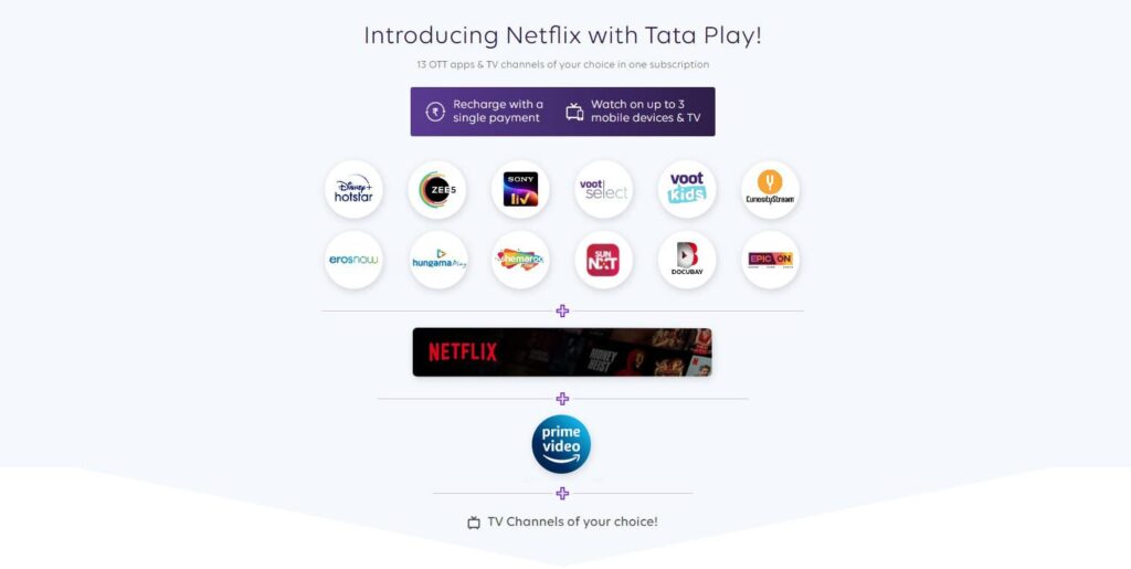 Tata Play Netflix