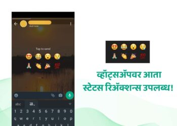 WhatsApp Reactions